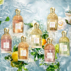 Aqua Allegoria Orange Soleia