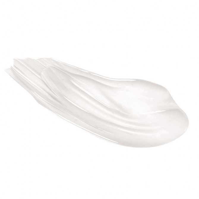 MISTER BROW GROOM