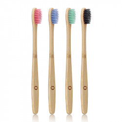 Multi colour bamboo toothbrush set