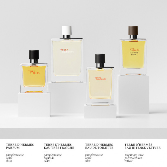 Terre d'Hermès - Parfum