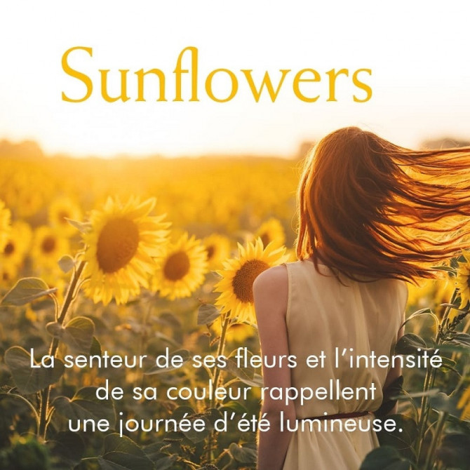 Sun Flowers - Eau de Toilette