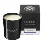 Bougie Figuier Amalfi