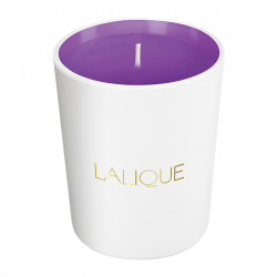 Bougie Electric Purple