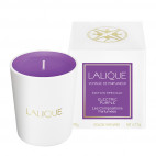 Bougie Electric Purple