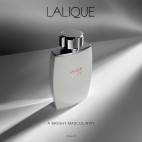 Lalique White