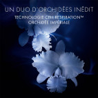 Orchidée Impériale - Crème Riche - 43752421