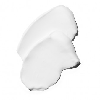 BC CLEAN REPAIR RESCUE MASQUE
