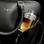 Bentley For Men Intense