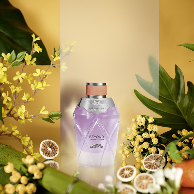 Radiant Osmanthus