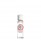 GINGEMBRE ROUGE EAU BIENFAISANTE