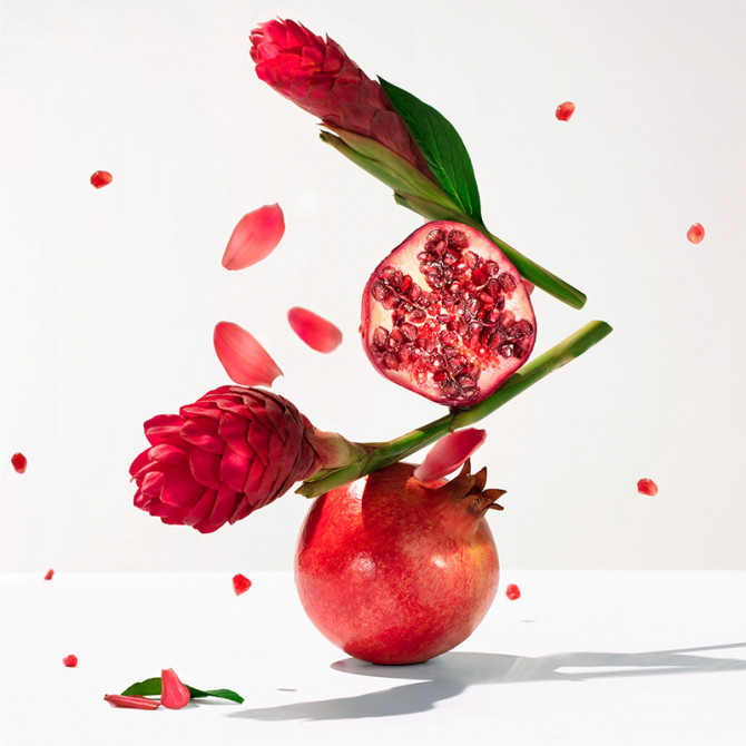 GINGEMBRE ROUGE EAU BIENFAISANTE