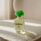 Cabotine - Eau de Parfum 100 ml