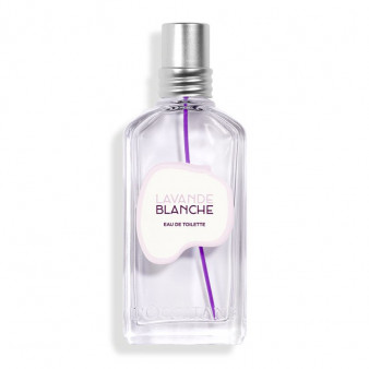 Lavande Blanche