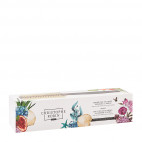 Brosse Pré-Incurvée Brushing 12 Rangs