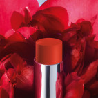 Rouge Dior Forever 647
