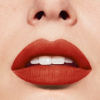 Rouge Velvet The Lipstick - 21