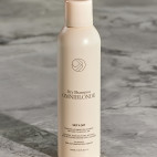 Skip A Day droogshampoo 250 ml