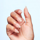Base Coat