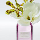 First Instinct 100ml