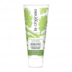 Masque Pureté