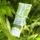 Masque Pureté