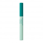 PATE GRISE STYLO DUO PURIFIANT CORRECTEUR