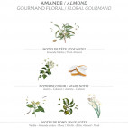 Crema Corporal Ultrahidratante Calmante de Almendras