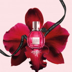 Flowerbomb Ruby Orchid 50 ml