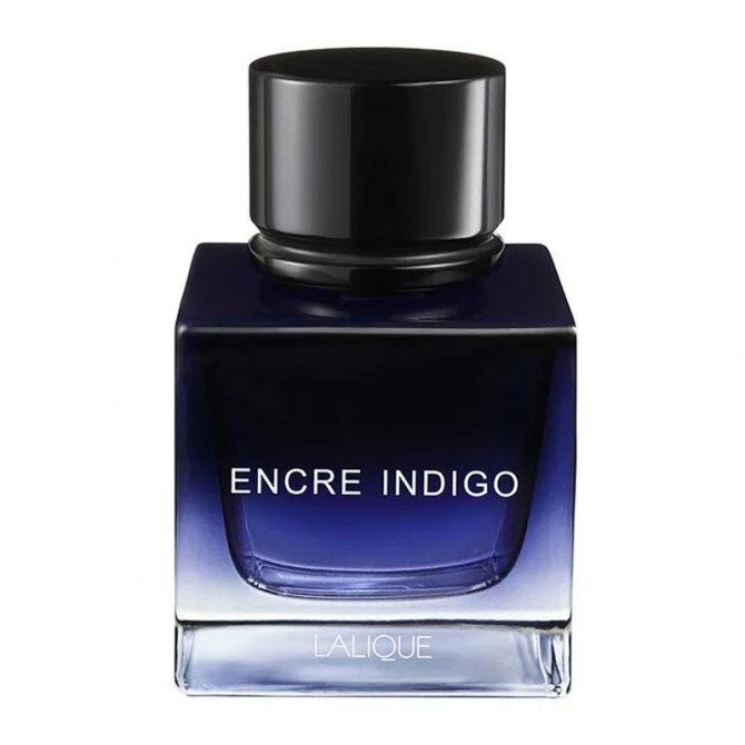 Encre Indigo 100 ml