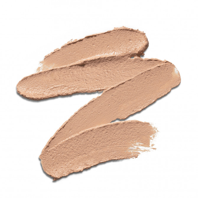PATE GRISE STYLO DUO PURIFIANT CORRECTEUR