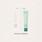 PATE GRISE STYLO DUO PURIFIANT CORRECTEUR