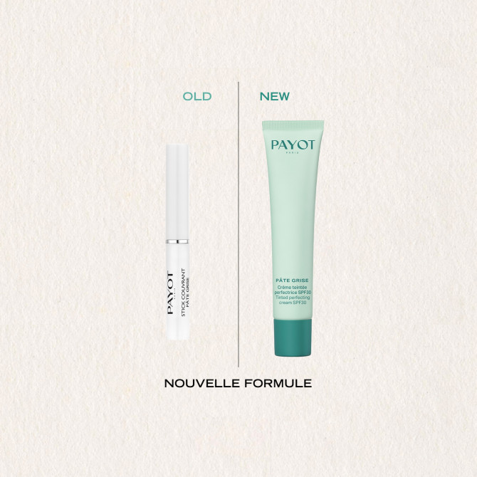 PATE GRISE STYLO DUO PURIFIANT CORRECTEUR
