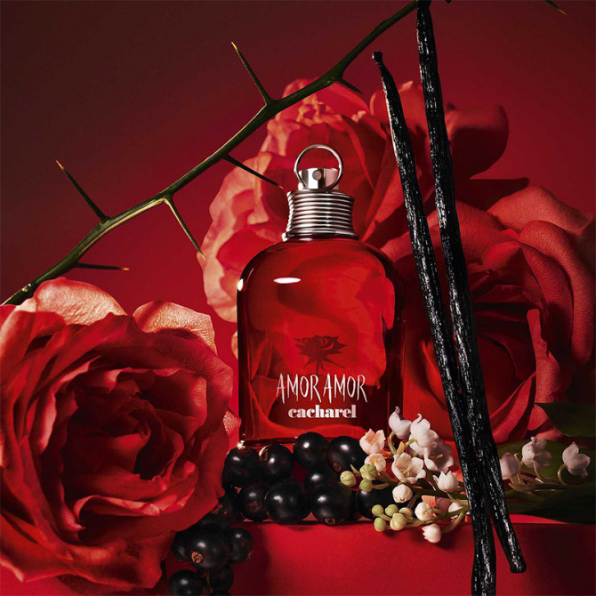 Amor Amor-Geschenkset