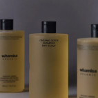 Shampoo Dry Scalp