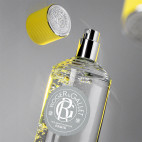 Cologne Twist