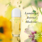 Sunflowers Honeydaze