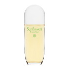 Sunflowers Honeydaze