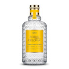 Frutas estrelladas y flores blancas 170 ml