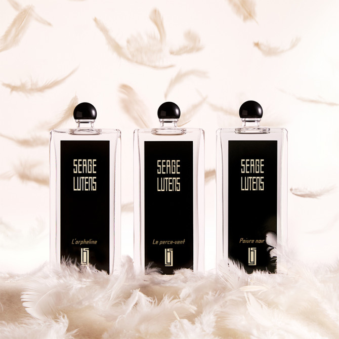 Le Perce-Vent 50ml