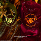 ABSOLUS ALLEGORIA