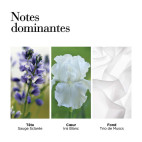 Witte thee 30 ml