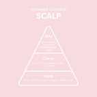 Detoxifying Scalp Oil