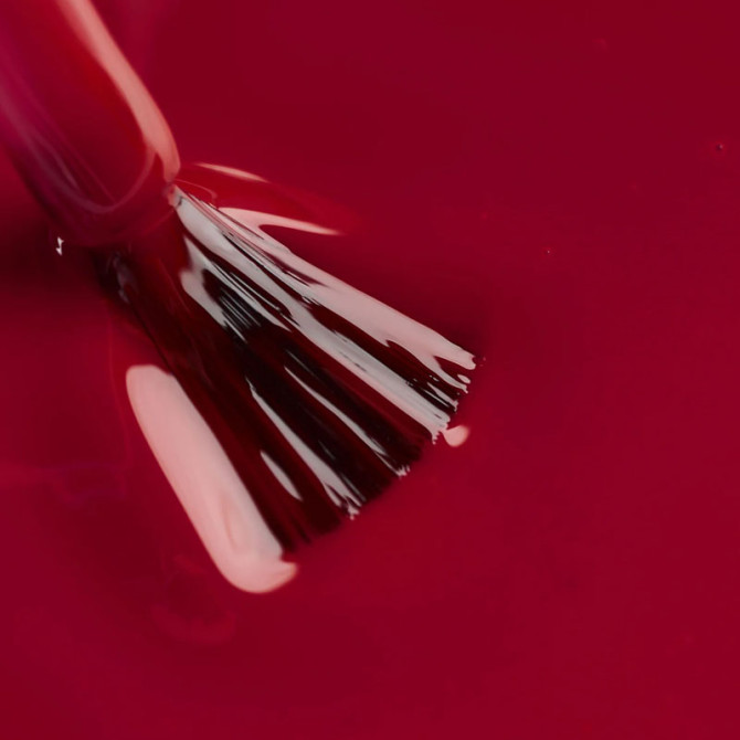 Rote Dahlie