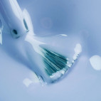 Blaue Blume