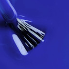 Blaue Himbeere