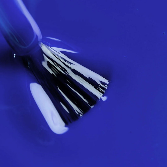 Blaue Himbeere