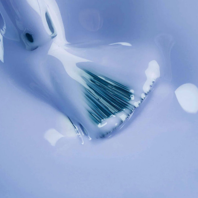 Fleur Bleue