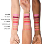 Dior Backstage Rosy Glow 103