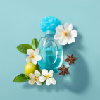 Turquoise Cabotine
