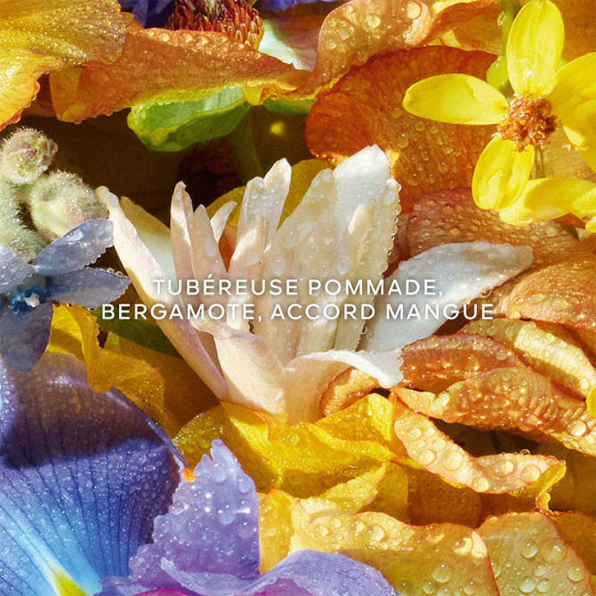 Aqua Allegoria Florabloom